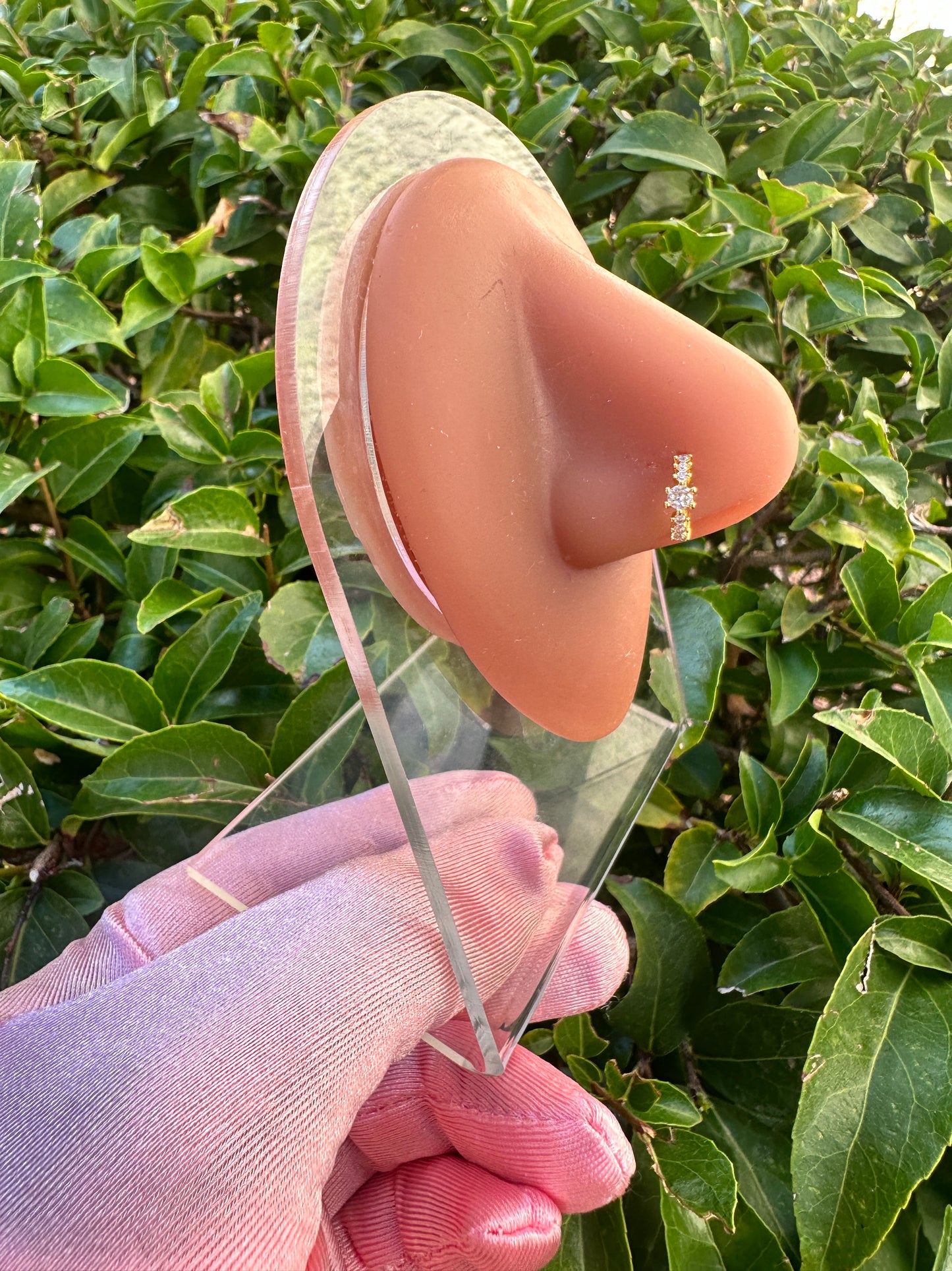 Aurora Nose Ring