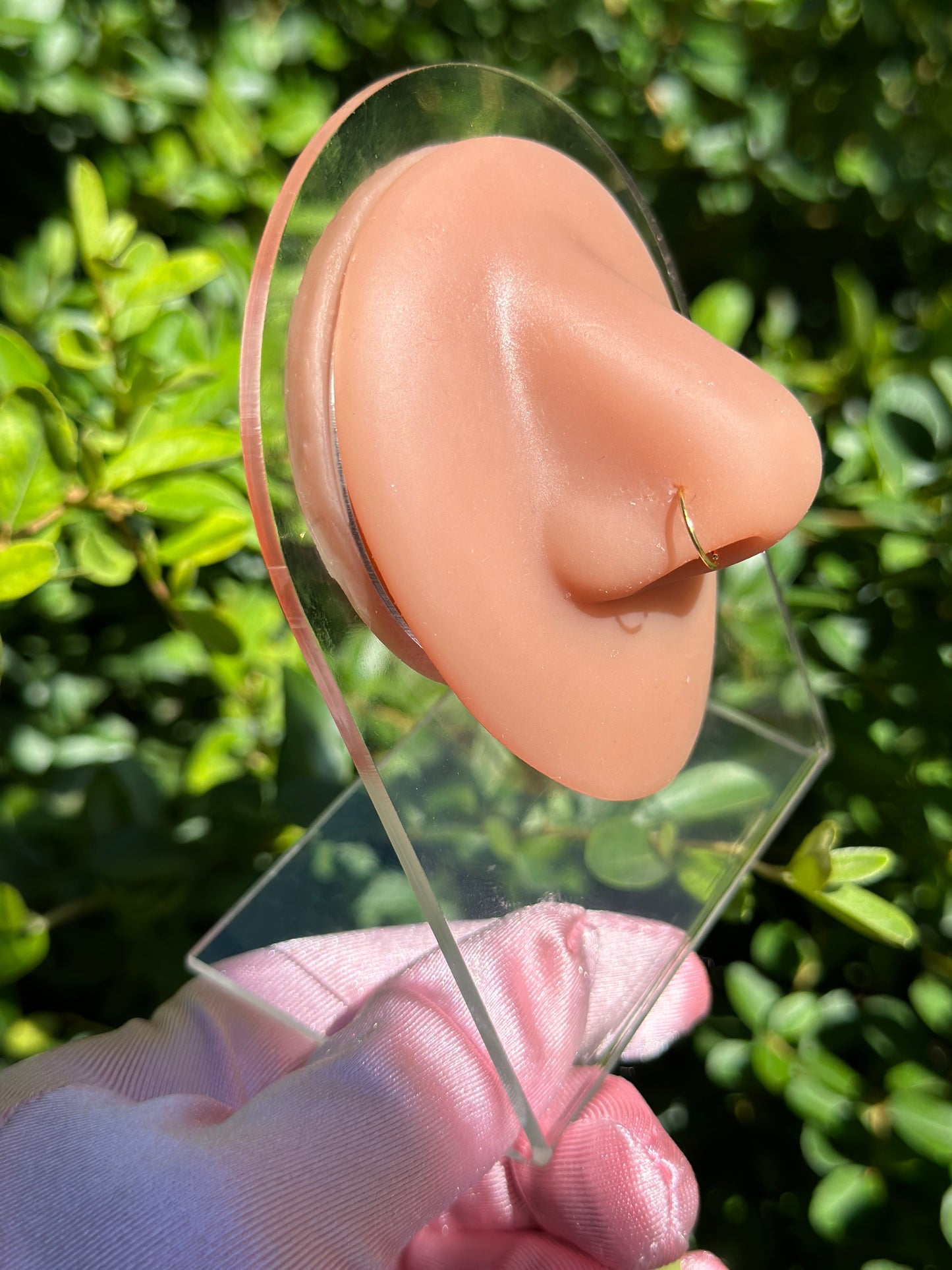 Basic Hoop Nose Ring
