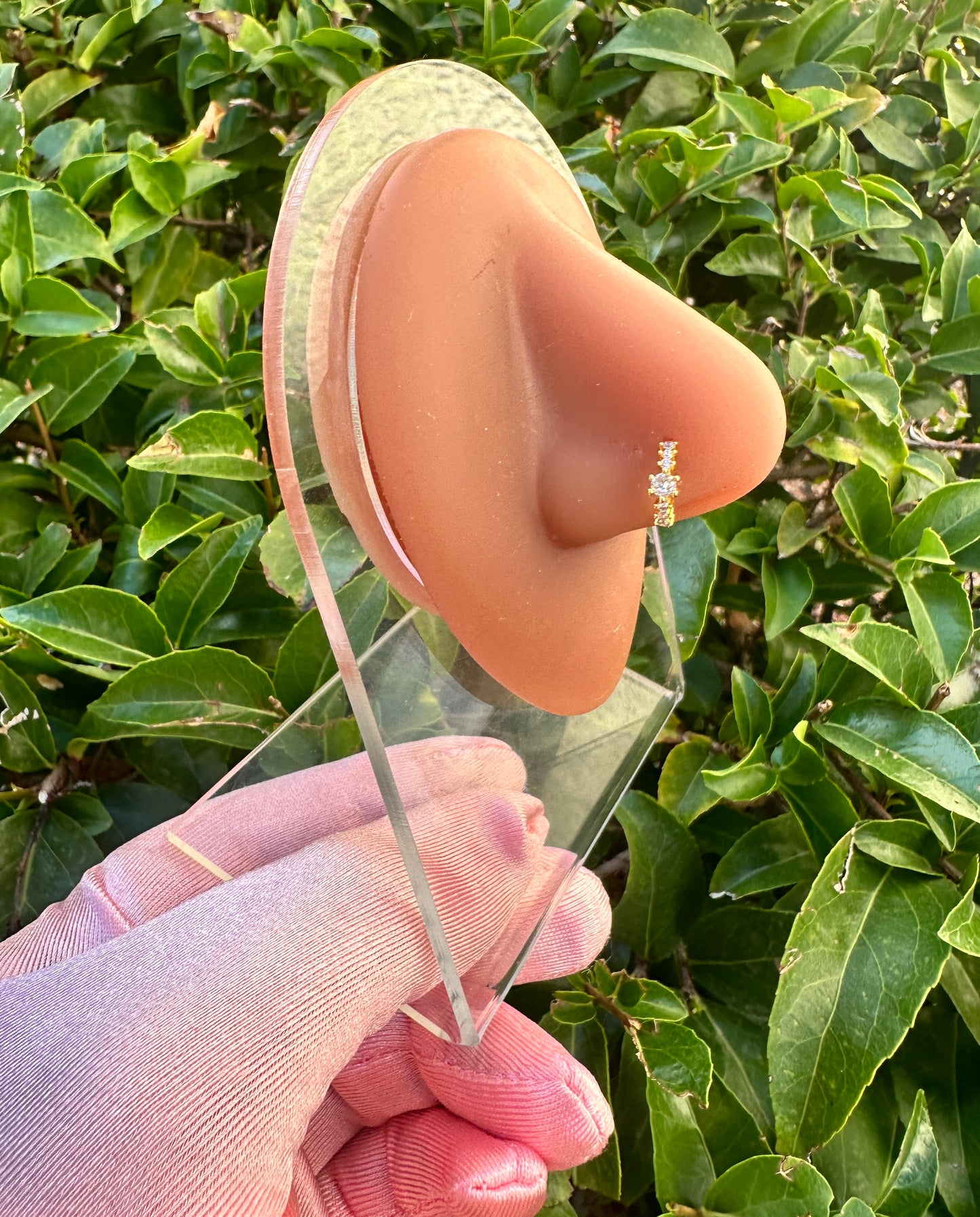 Aurora Nose Ring