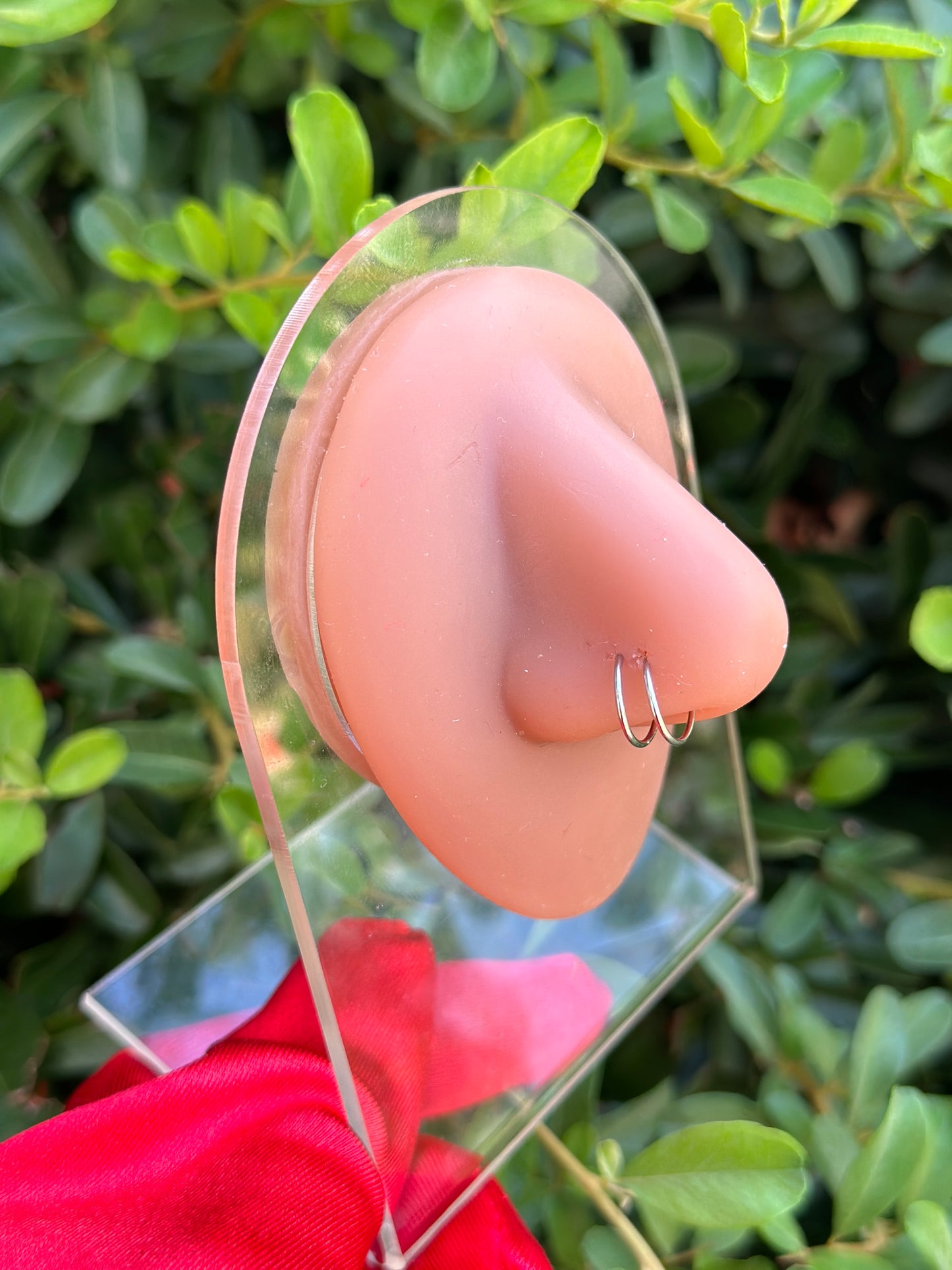 Viral Spiral Nose Ring