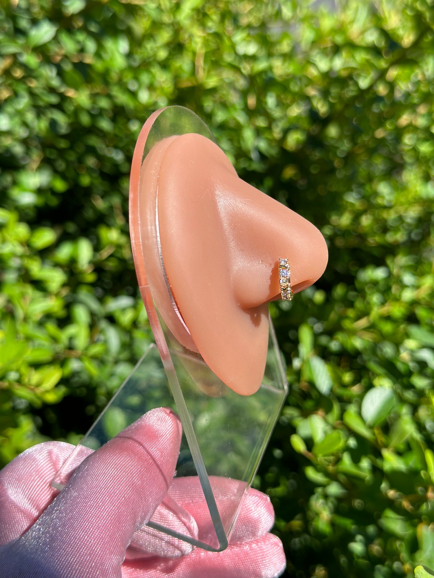 Jillian Hoop Nose Ring