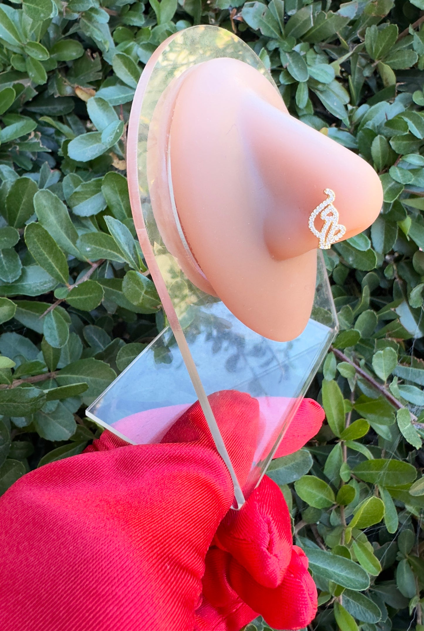 Boujee Babe Nose Ring