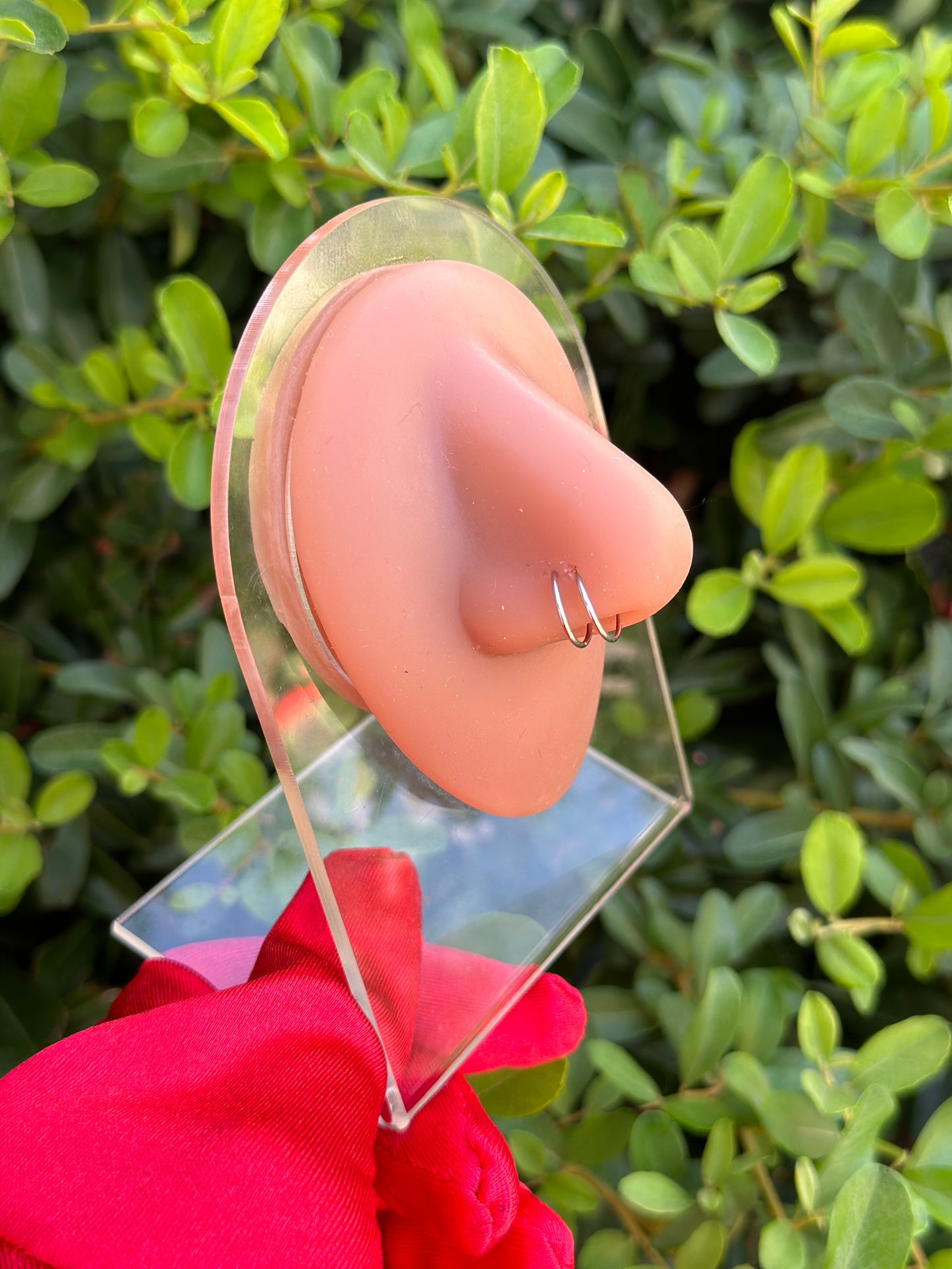 Viral Spiral Nose Ring