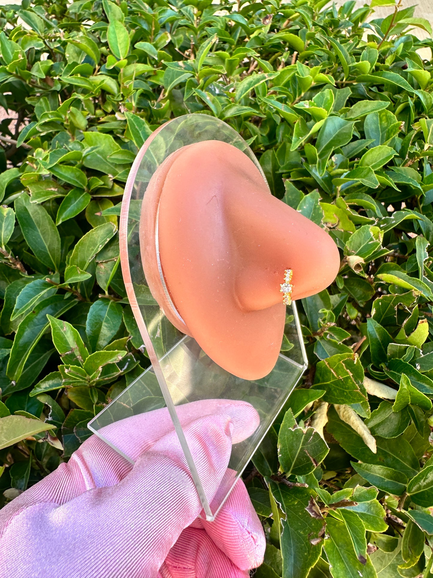 Aurora Nose Ring