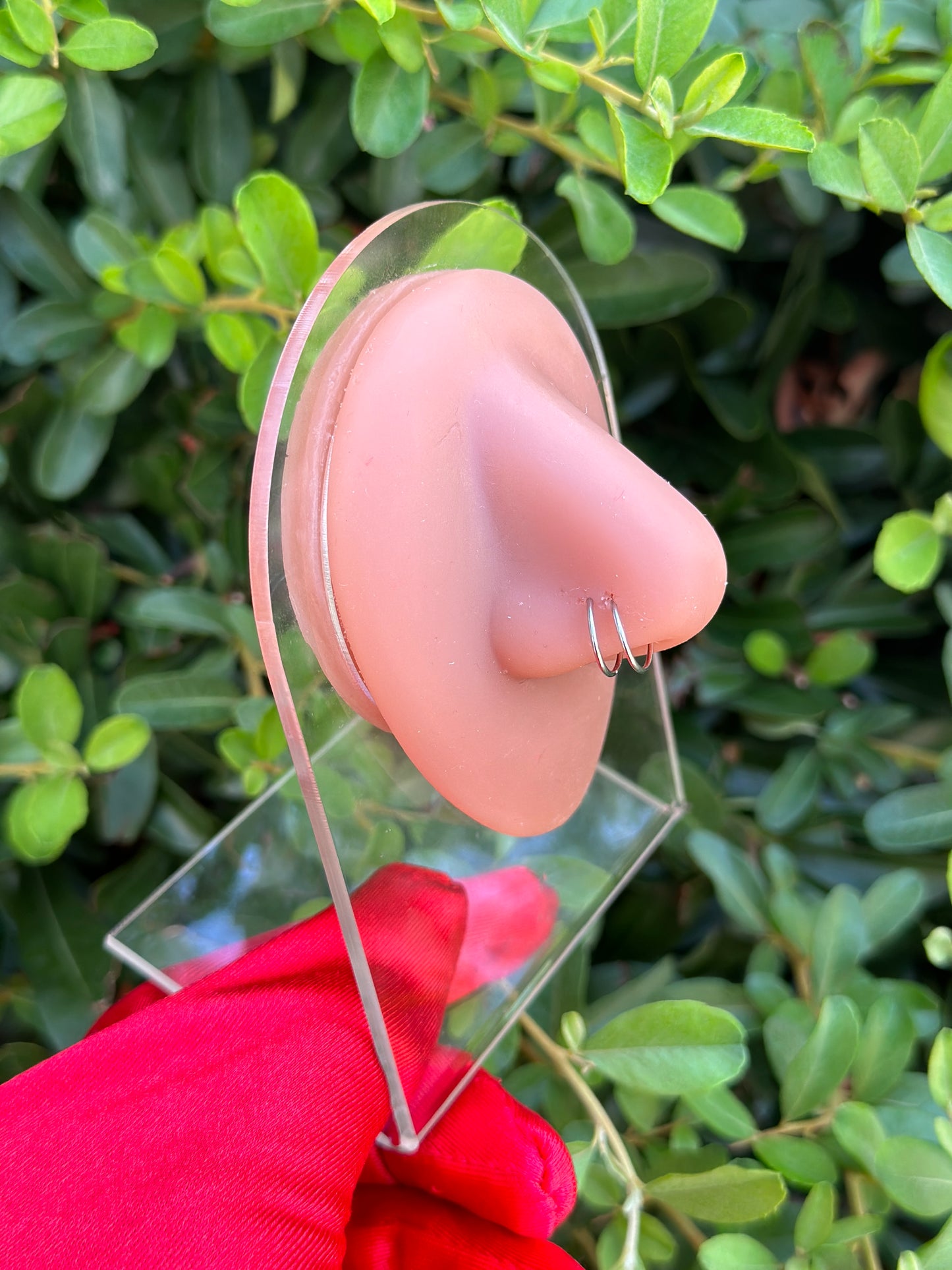 Viral Spiral Nose Ring