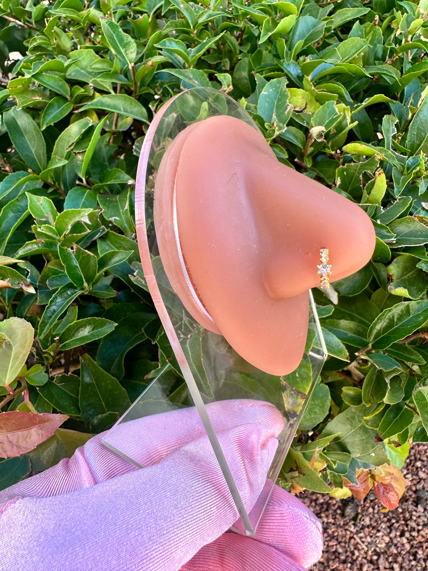 Aurora Nose Ring