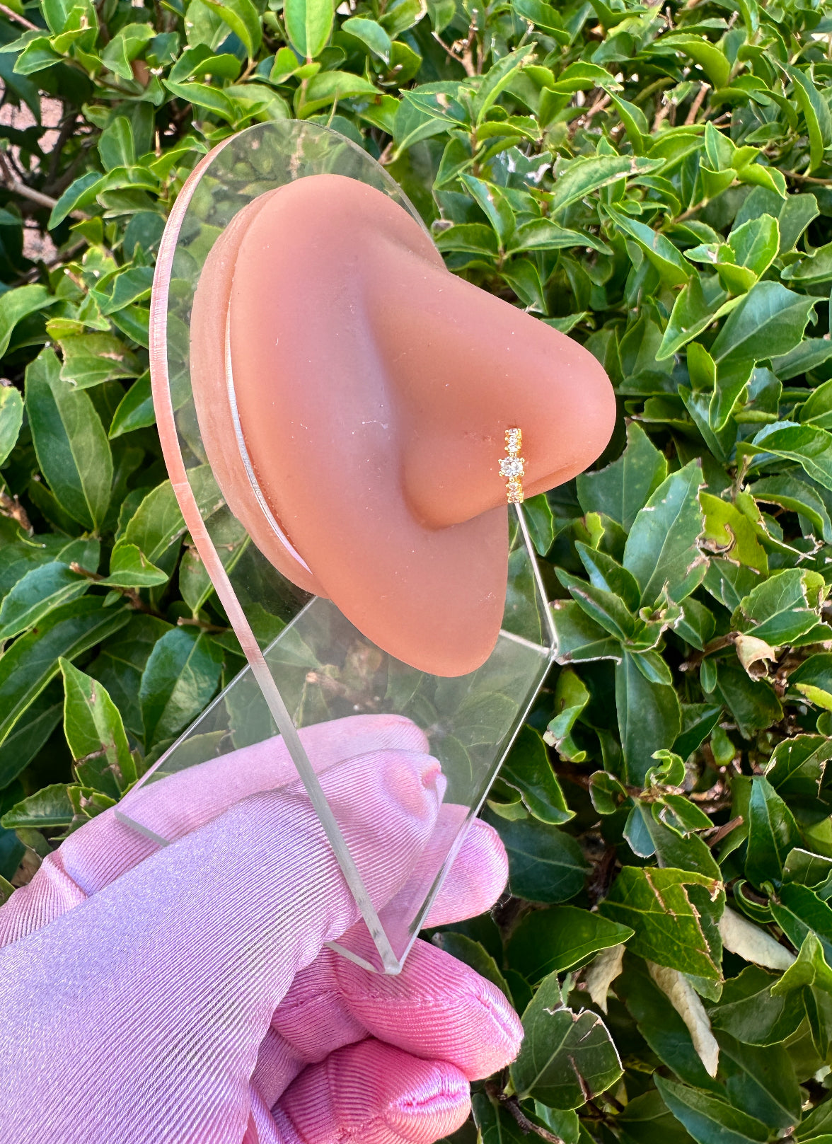 Aurora Nose Ring