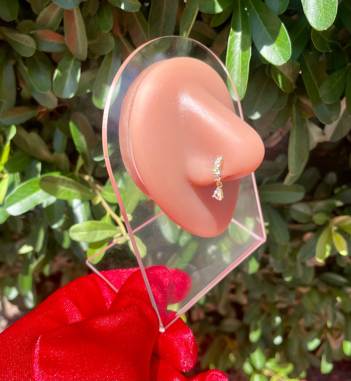 Naomi Hoop Nose Ring