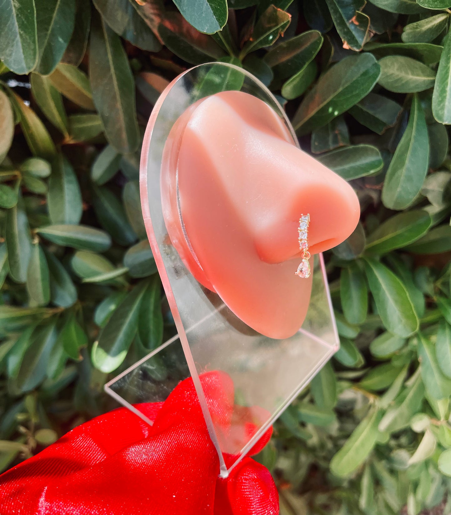 Naomi Hoop Nose Ring