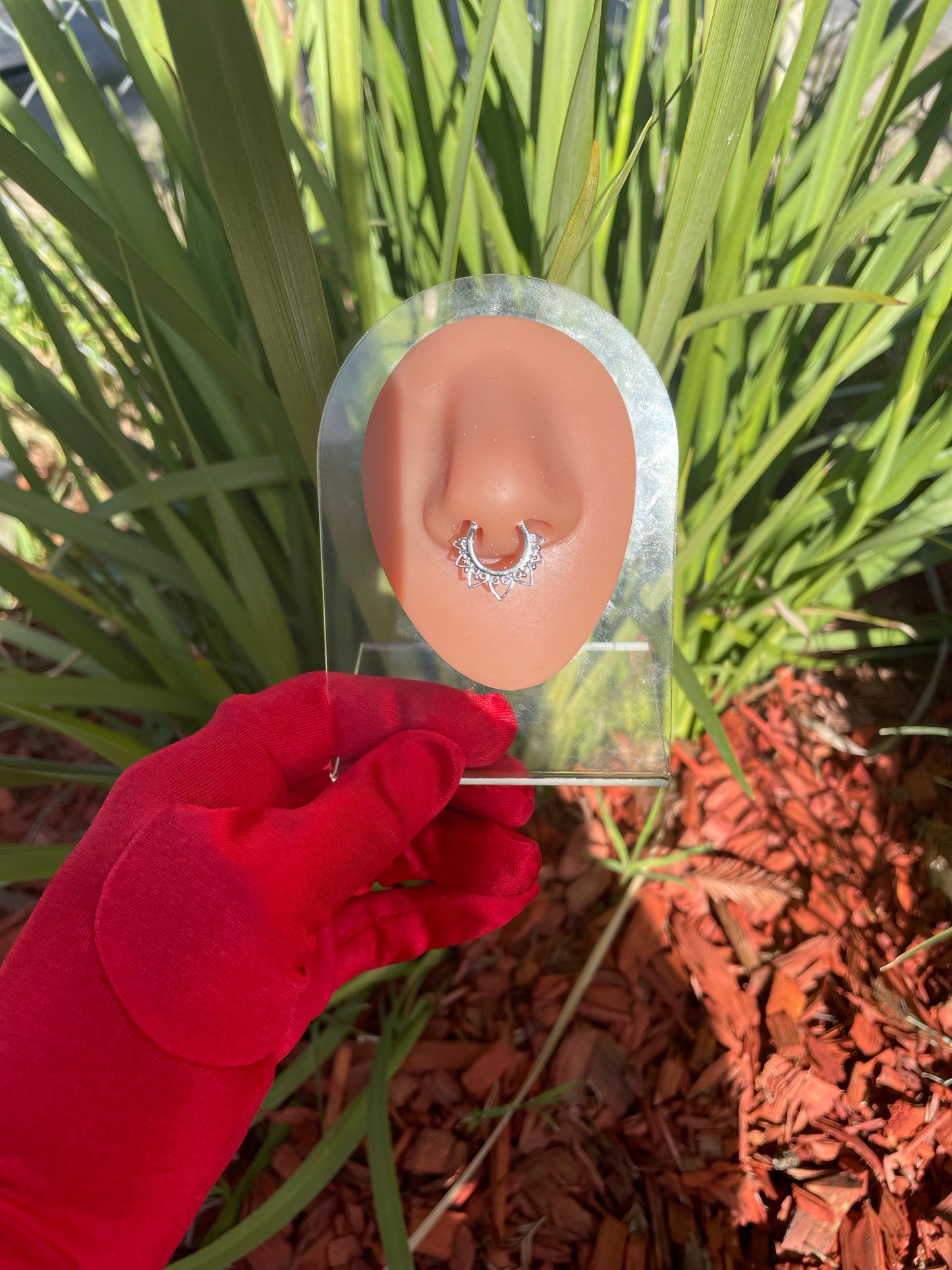 Afia Septum Nose Ring