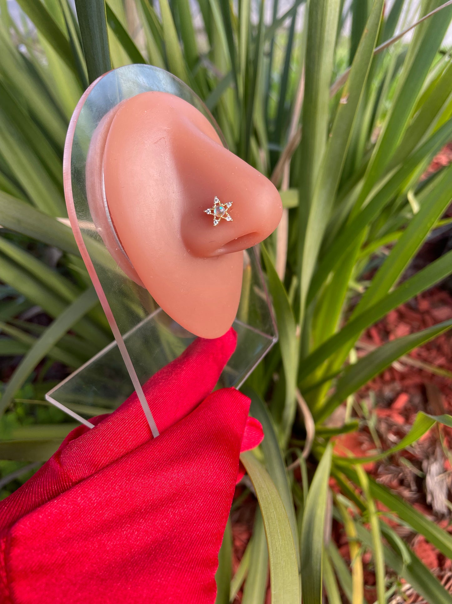 Alzir Star Nose Ring