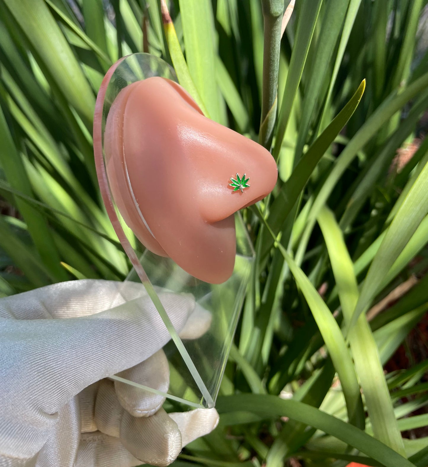 Sativa Nose Ring