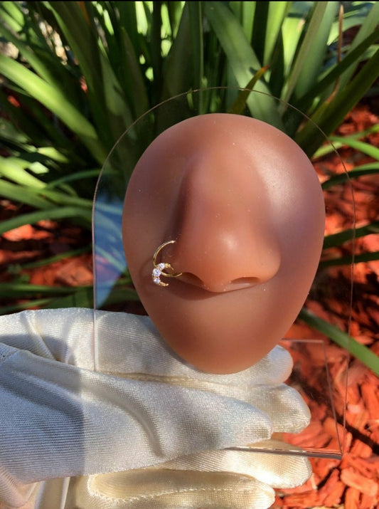 Moon Hoop Nose Ring